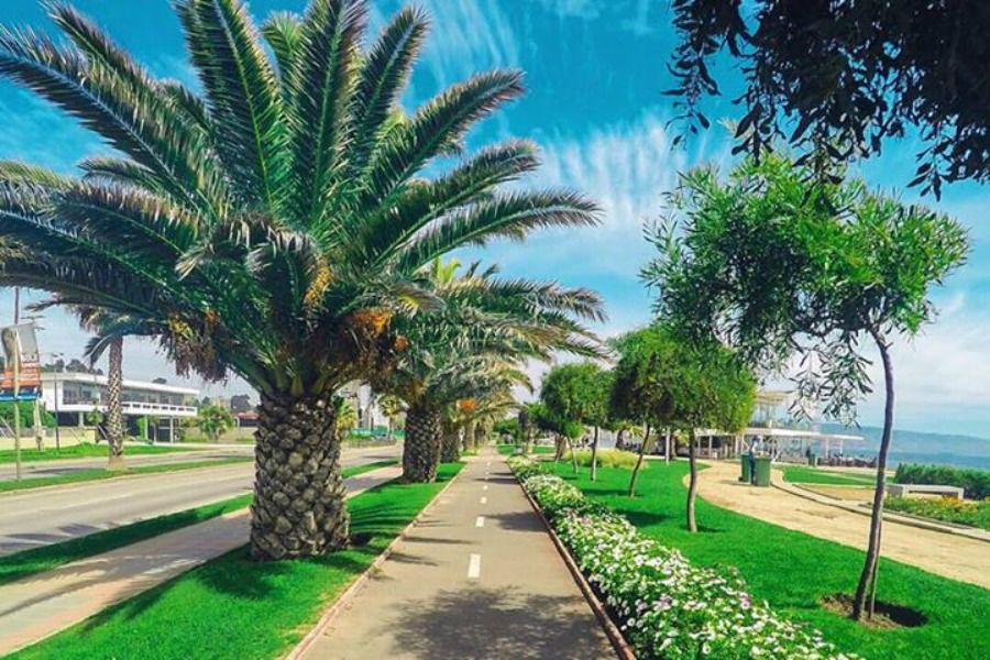 Pedaleando por el borde costero de Viña del Mar - Sudandola
