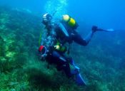 Equipo chileno buscará ganar Mundial de Fotografía Submarina