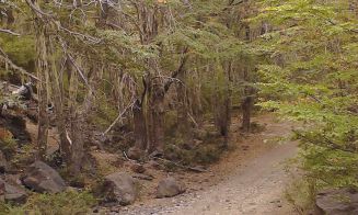 Ruta Trail Running: Shangri La, Valle Las Trancas, Termas de Chillán