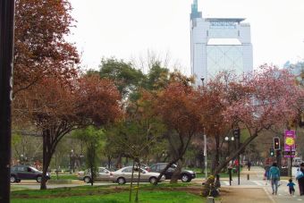 Lugares para correr: Mi ruta favorita es el Parque Bustamante