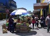 Desmesurada alza en precio de verduras por heladas