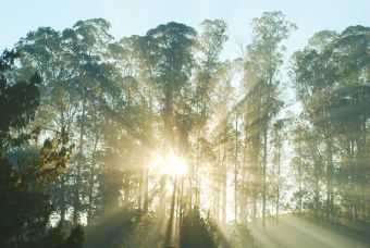 Consejos para energizar tus mañanas