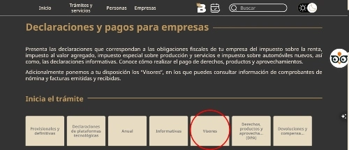 Visor del SAT​ paso 3