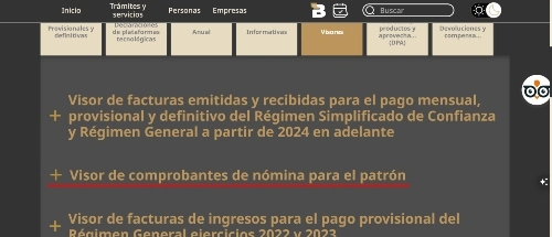 Visor del SAT​ paso 4