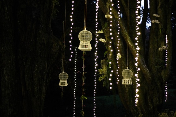 Luces y faroles colgados de un árbol