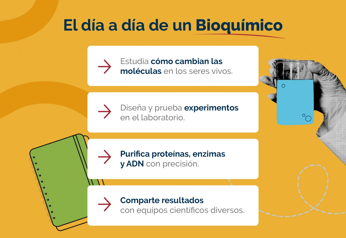 El día a día de un Bioquímico.