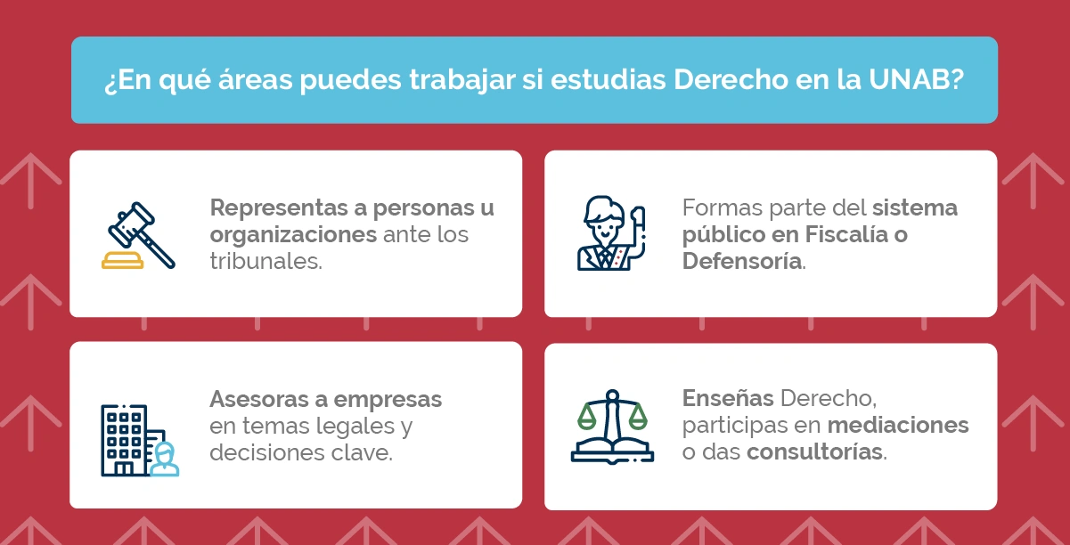 Abogados pueden trabajar en tribunales, Fiscalía, empresas y docencia.