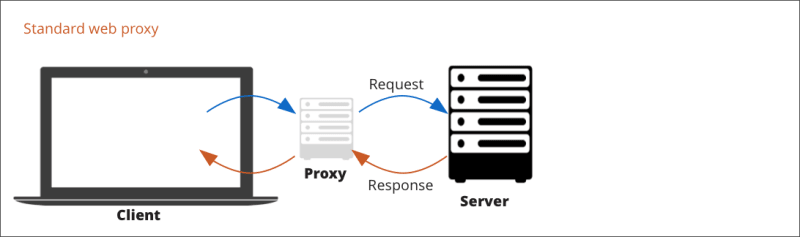 Standard web proxy