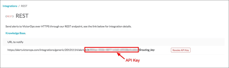 View API key