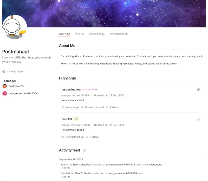 A Postman user's public profile