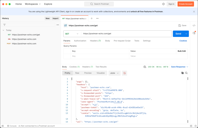 Postman lightweight API Client