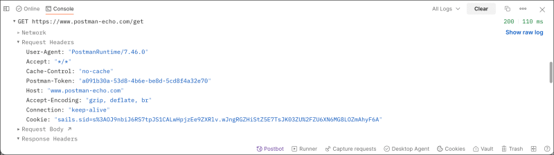 Postman Console in Flows