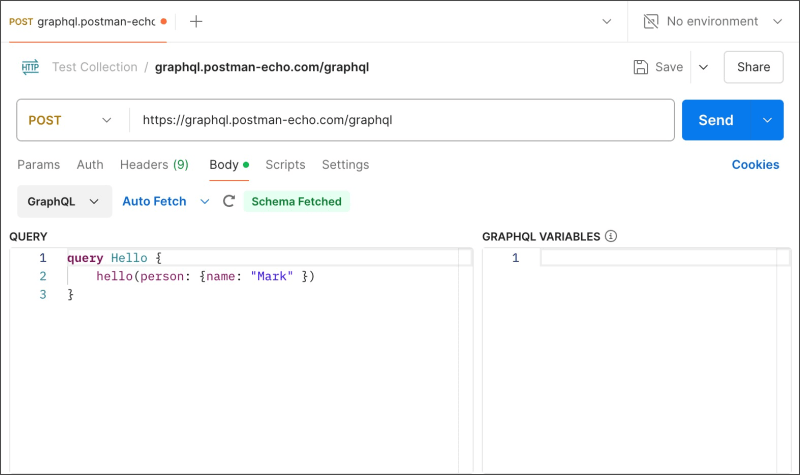 Select the GraphQL body type