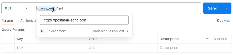Reference variable