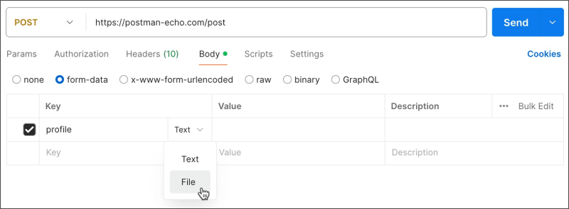 Select the form data file option
