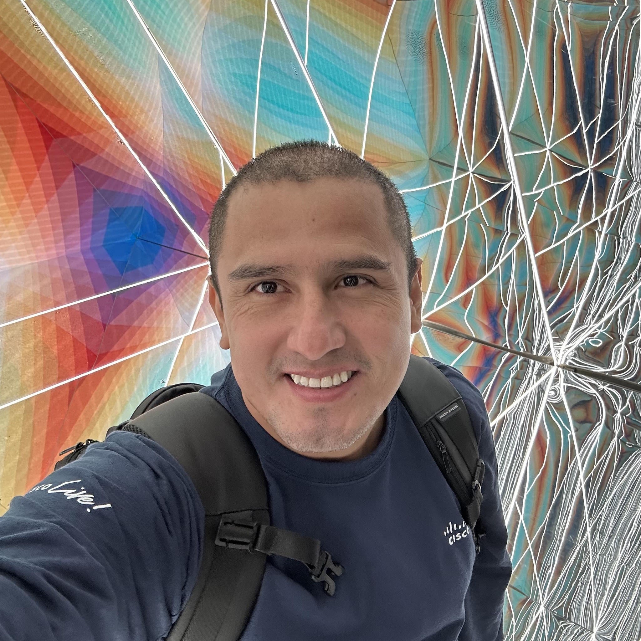 Edwincisco public apis postman api network