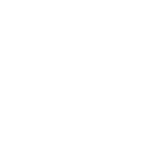 sync logo