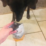 Glycoflex Plus For Dogs Over 30 Lbs By Vetriscience Laboratories