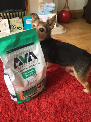 ava small breed dog food