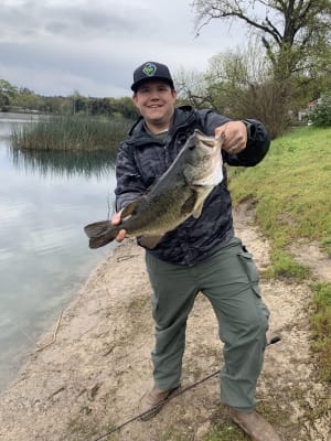 Samatis baits trick worm Clearance