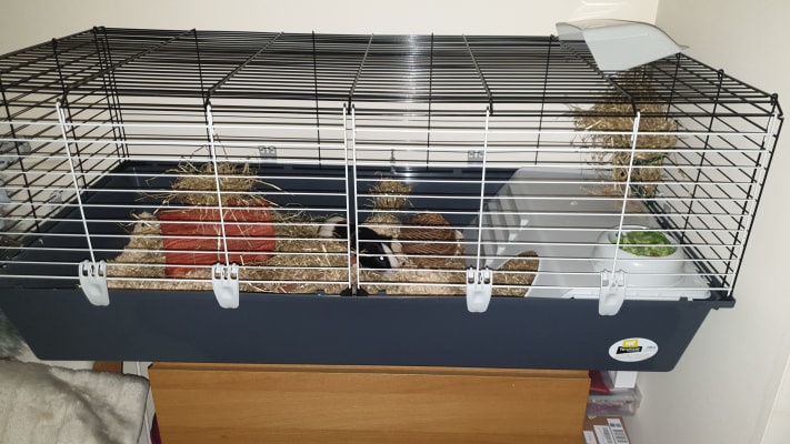pets at home rabbit cage 120