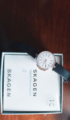 skagen skt1412