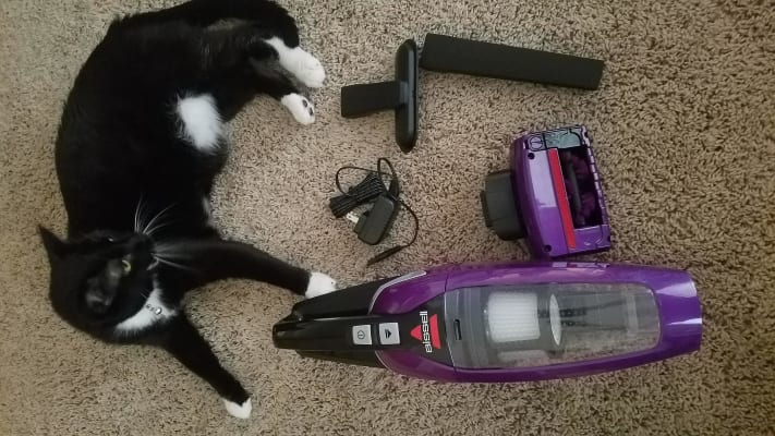 Pet Hair Eraser Handheld Vac 2390 Bissell Hand Vac
