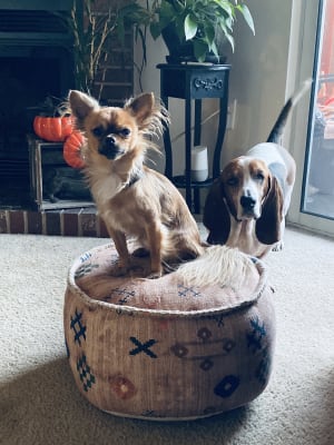 Blush Abstract Symbols Pouf World Market