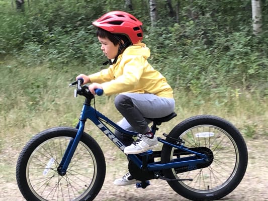 trek precaliber 20 weight