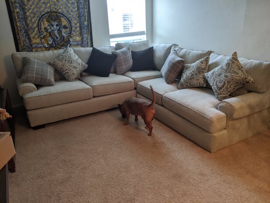 Essex Living Room Collection Sofa And Loveseat Essex2pcsect