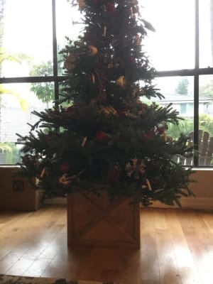 Color Changing Led Christmas Tree Candles Set Balsam Hill