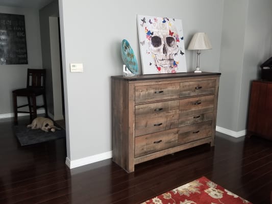 trinell youth dresser