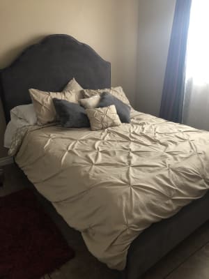 Dark Gray Velvet Upholstered Queen Bed With Scallop Shape