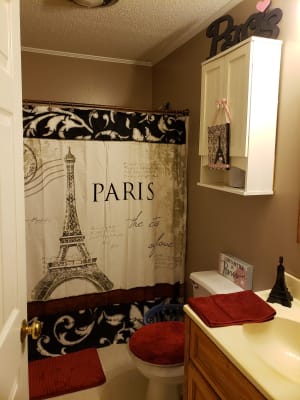 Living Colors Paris Shower Curtain Big Lots