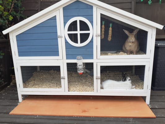 large rabbit hutch pets at home