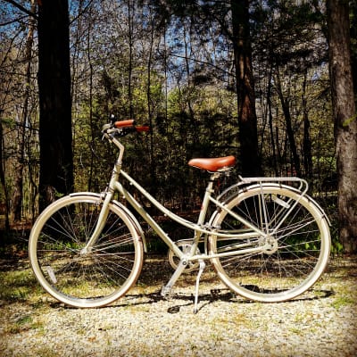 electra loft 7i for sale