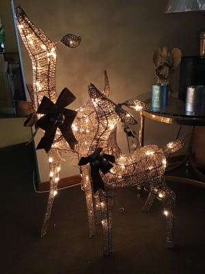 Light Up Outdoor Christmas Deer Set 2 Piece Champagne Big Lots