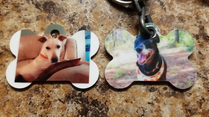 shutterfly free dog tag