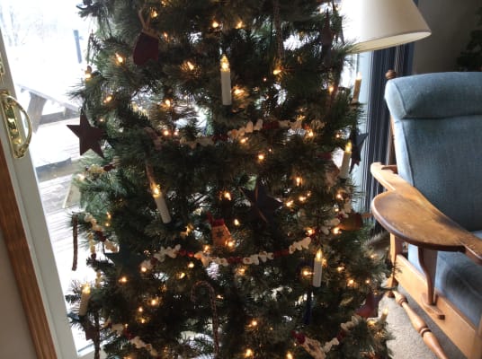 Clip On Christmas Tree Candle Lights Set Of 10 Plowhearth