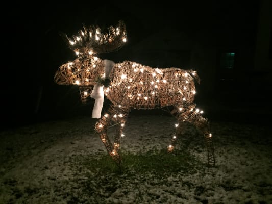 Winter Wonder Lane Brown Light Up Grapevine Moose 46 Big Lots