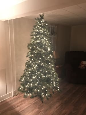 Winter Wonder Lane 7 5 Park City Cashmere Pre Lit Artificial