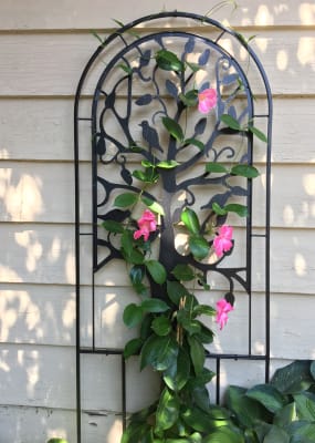 Metal Arched Garden Trellis With Tree Of Life Design Antique