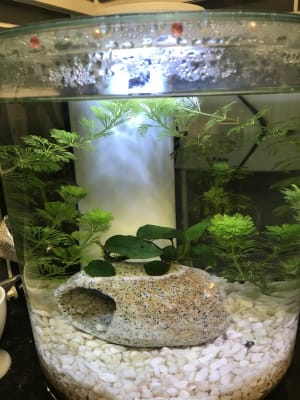 marina 360 aquarium