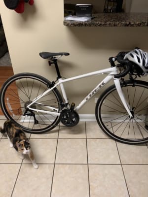 trek domane al3 womens