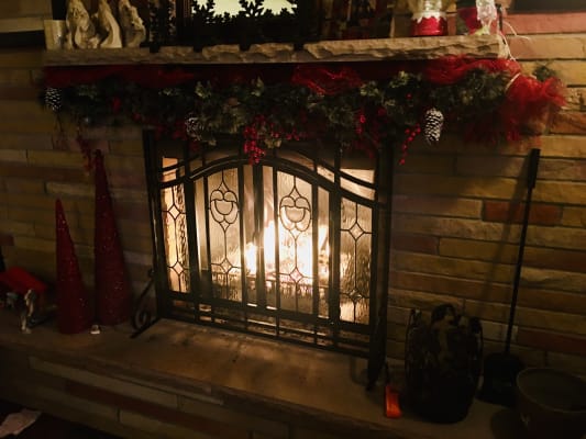 Small Two Door Fireplace Screen With Glass Floral Panels Black