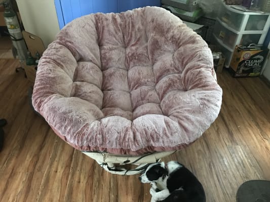 Espresso Papasan Chair Frame World Market