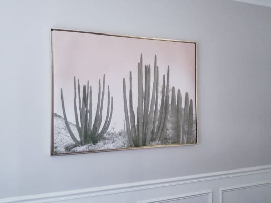 Cactus With Gold Frame World Market