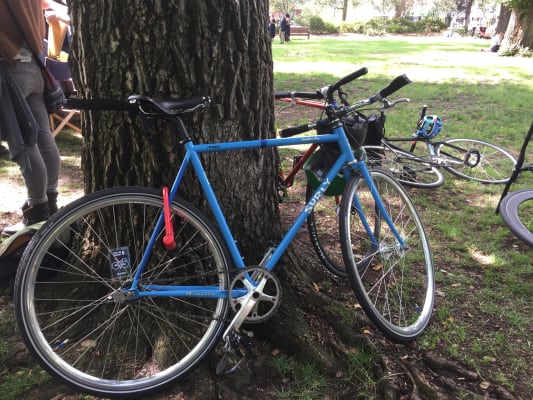 surly steamroller track bike