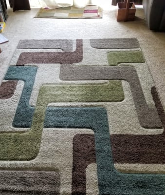 Living Colors Nobel Collection Area Rug 6 6 X 9 Big Lots