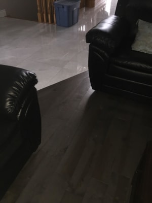 bellawood floor care kit